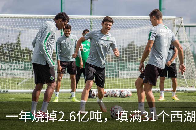 一年烧掉2.6亿吨，填满31个西湖！中国的垃圾，不够烧了？